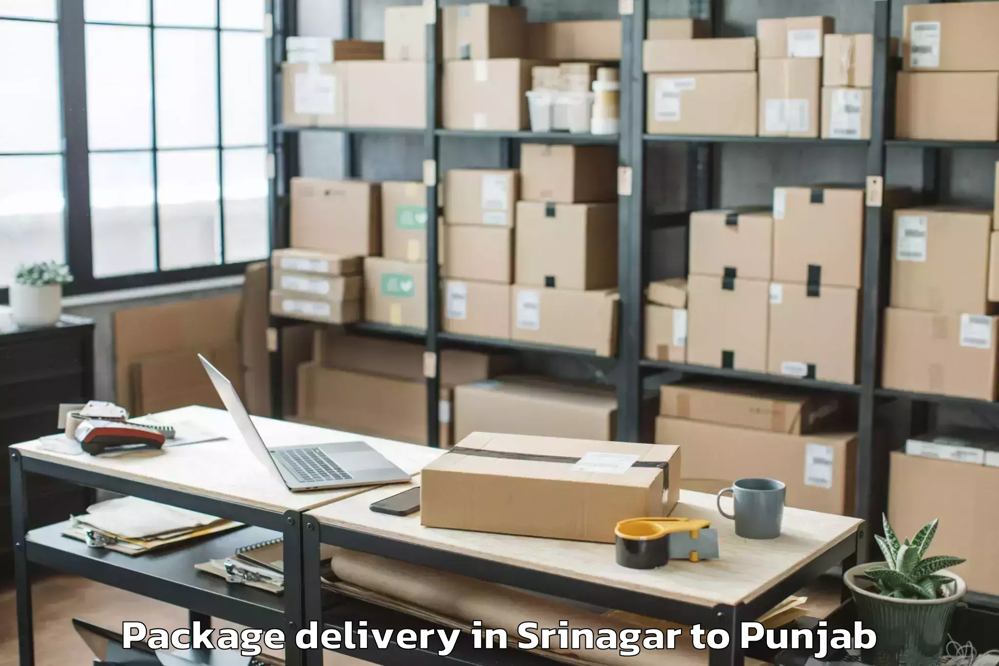 Srinagar to Rupnagar Package Delivery Booking